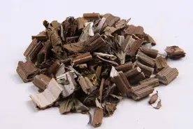 中药：泽兰，“专克”囊肿的良药！图片
