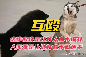 让打人者不敢打人让被打者敢于还手才是法律应该做的图片