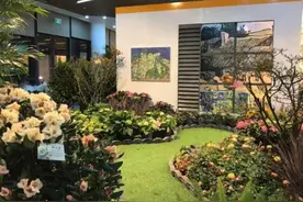约起！春节到太原植物园看展图片