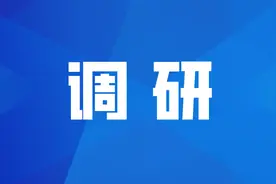 沙坪坝区委副书记、区长肖庆华调研督导龙凤河排水口整治工作图片