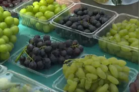 平度葡萄香飘万里 “串起”文旅大产业图片