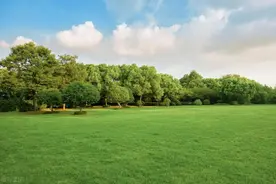 捕蛇老人的5种驱蛇小妙招，害怕蛇进家，不妨试试，第5种最管用图片