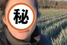 山东两女子摆拍“300多斤大葱卖不到40块”，被相关部门约谈图片