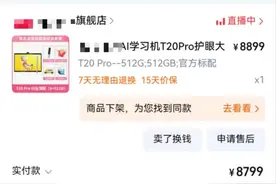 假期全靠它？一妈妈花9000元买“遛娃神器”！网友晒同款图片