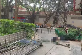 小区内二人从12层坠落身亡！图片