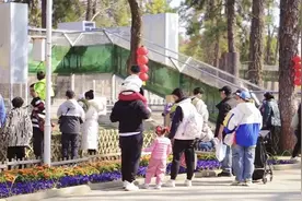 武汉九峰森林动物园跻身武汉热门景区TOP5榜单图片