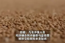 今天才抓获！河北战备粮仓被奸商变卖2500万元。驻库员受贿5万元图片