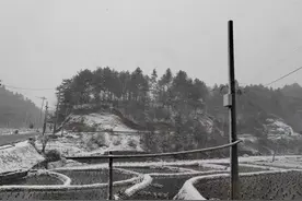 安徽多地下雪了！图片