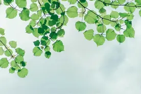 精读《平凡的世界》(3)图片