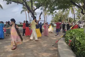 候鸟是否懵了圈，回到海南过夏天，拿热带宝岛当避暑山庄为哪般图片