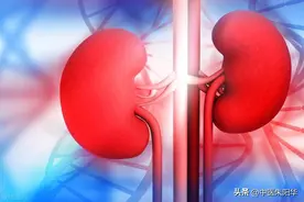 补肾吃什么？从下面五个品类着手，里面一定有你能轻松买到的！图片
