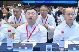 盘点过去三年落马的汽车行业高管：国企是重灾区，新势力也不少图片