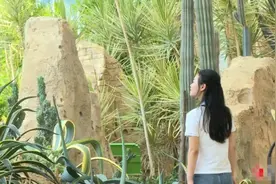 挖红薯摘葡萄 来宿迁洋河体验农事生活图片