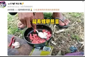 越南美食大火？流量的背后到底是什么？图片
