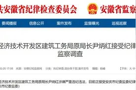 安庆经济技术开发区建筑工务局原局长尹炳红接受审查调查图片