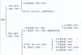 蔡锷死后：两妻各自带子女生活，长女嫁好友之子，长子曾入外交部图片