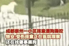 恶狗咬伤女童事件，后续曝光图片