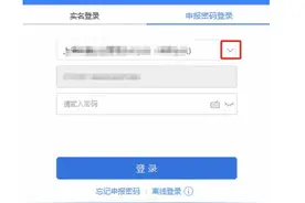 工资薪金所得申报个人所得税操作指引，附个税申报表及自动计算图片