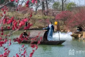 江苏多地梅花盛放 “梅”好时光正在开启图片