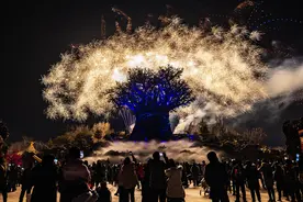 银基动物王国新春烟花秀将持续至元宵节图片