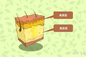 皮肤是健康“晴雨表” 发黄就是“求救信号”图片
