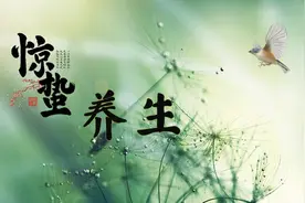 “惊蛰喝汤，不用医生帮”，这4道汤多给家人喝，去春燥养脾胃图片