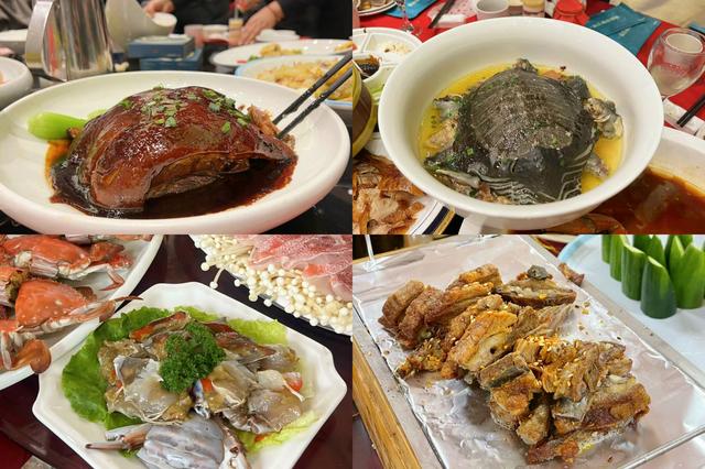 黄焖花胶鲍鱼翅 2026年花胶鲍鱼翅面最忌三种东西