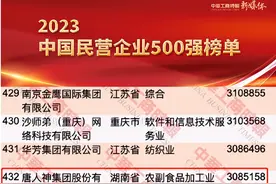 挺进中国民企500强，唐人神凭什么？图片