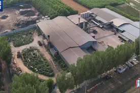 重金属超标的污泥变身有机肥！记者暗访调查→图片