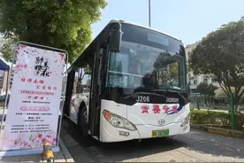 明日开通！江夏赏樱专线来了图片