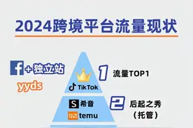 天呐！终于有人把跨境电商平台讲明白了！跨境新手小白必看！图片