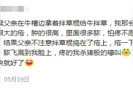 你肉体上经历的最痛的一次是什么时候？网友的评论，让人直呼精彩图片