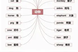 32张思维导图，搞定英语全部重点知识、语法！（可打印！）图片