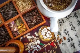 脾虚了，参苓白术散，归脾丸，补中益气丸该如何选？舌象告诉你！图片