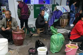 贵州省铜仁市印江县人口第一大镇，贺老总曾经战斗过的地方图片