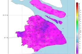 明天还有冷空气！“冬-春-夏”，上海的极致体验又要来了图片