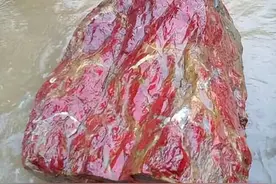 大揭秘！鸡血石到底能卖多少钱啊？揭露鸡血石的神秘面纱！图片