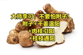大师李可：不要怕附子，附子+干姜温阳 +肉桂引阳 +桂枝通阳！图片