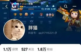 胖猫事件全过程整理，欢迎各位同胞补充！图片