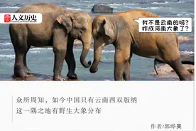 河南简称“豫”，是因为有大象？图片