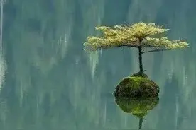 愁啊！儿子护理专业毕业后，却没有一个单位愿意接收图片
