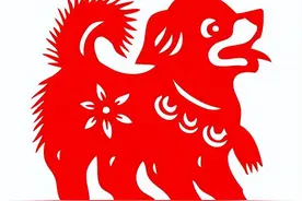 这四个生肖在感情中最善良，也最绝情，快来看看你上榜了吗？图片