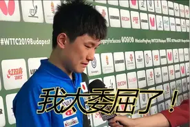 为什么同样是代表其他国家，张本智和人人唾弃，倪夏莲人人尊重？图片