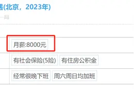 中建一局员工自爆工资收入明细，网友说：果然穷得很稳定，好低图片