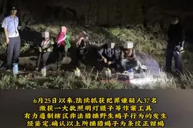 尴尬了！甘肃警方破获非法捕蝎大案，网友神评让人哭笑不得!图片