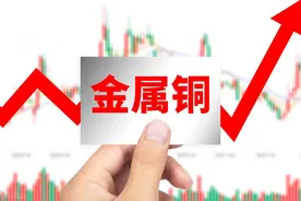 国家队最看好的10家有色金属公司图片
