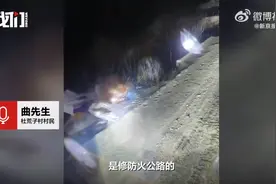 吉林一工人凌晨遇老虎急忙上车避险：一只接近300斤的老虎，差点让它给我造了图片