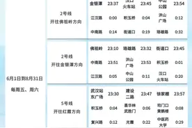 武汉地铁调整图片