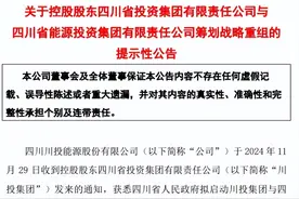 四川大动作！能源“巨无霸”有望诞生图片