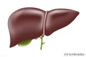 切除胆囊的人，和正常人有什么区别？寿命有什么影响吗？图片